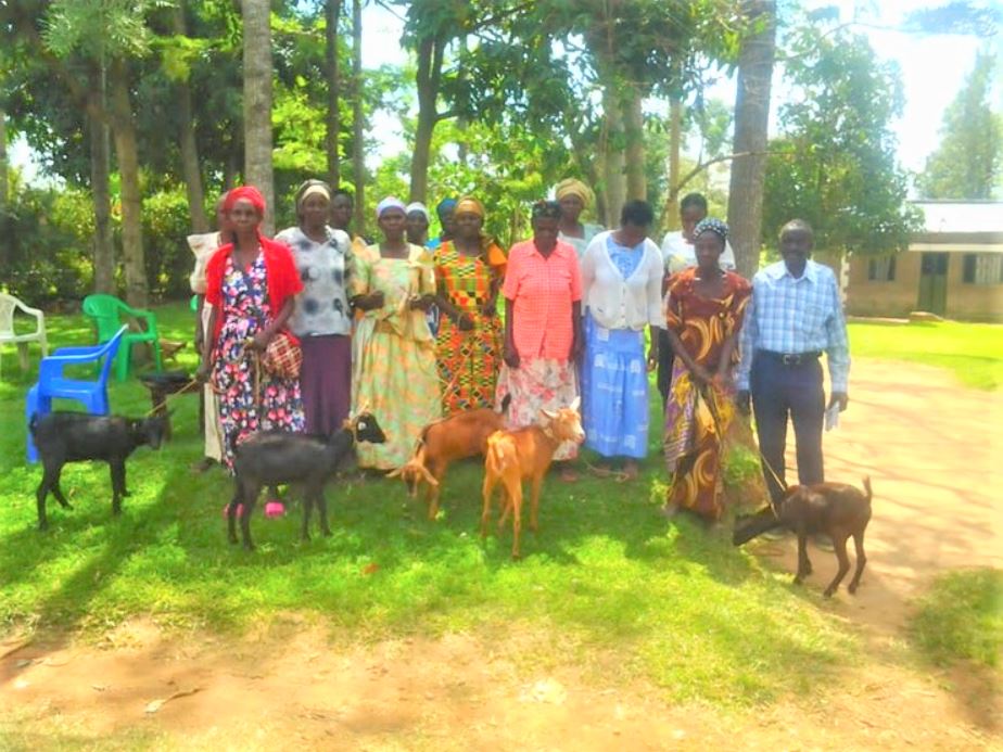 We managed to visit 17 homes of the widows purposely for evangelism, health care, and monitoring the IGA project of goats.