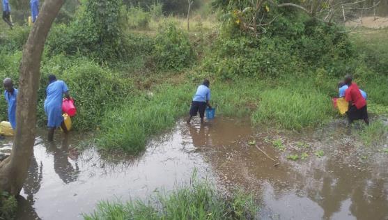 For many the only option for water is collection is from streams which can result in illness.