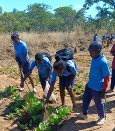 Agape primary students learning to grow vegtables
