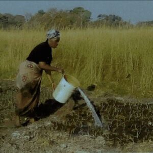 CMAF - watering crops CMAF - watering crops